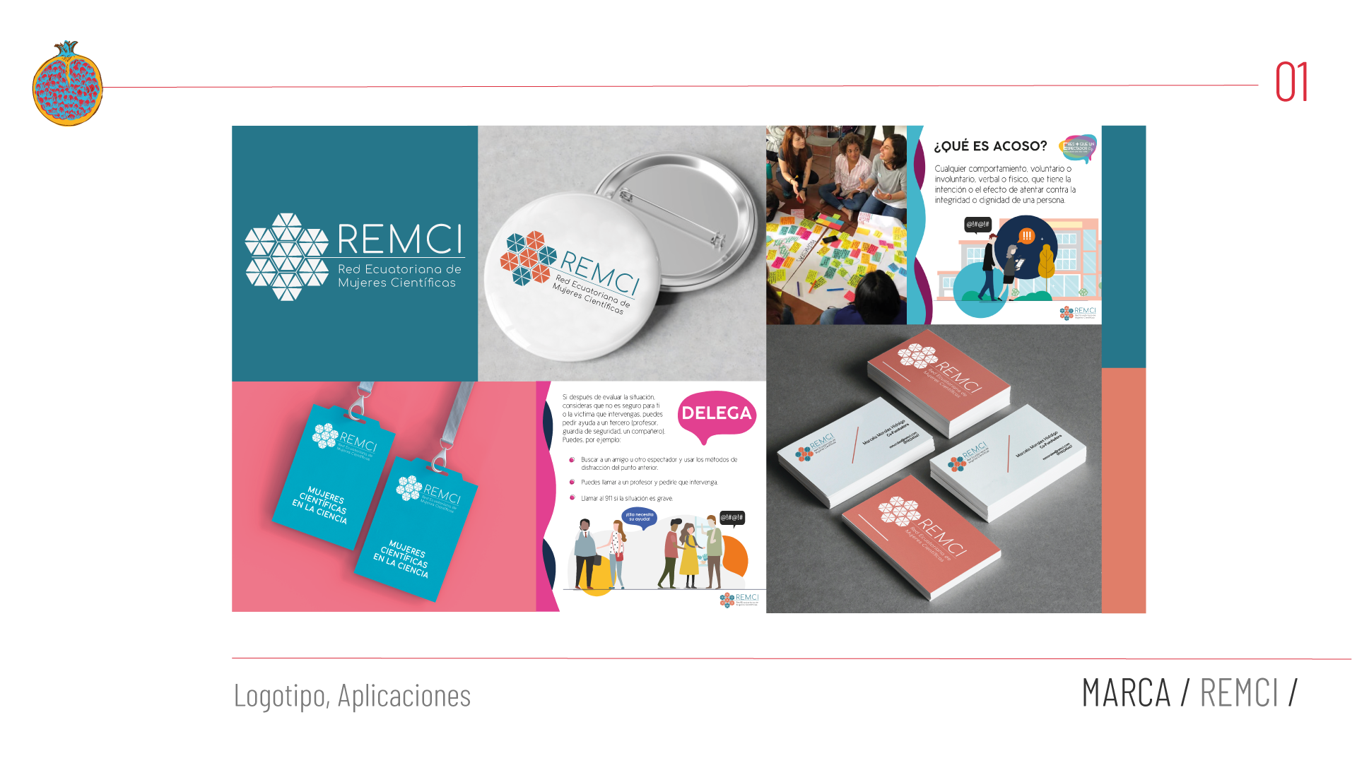 Portada-REMCI